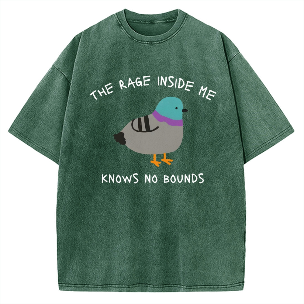 The Rage Inside Me cursed Vintage Washed T-shirt