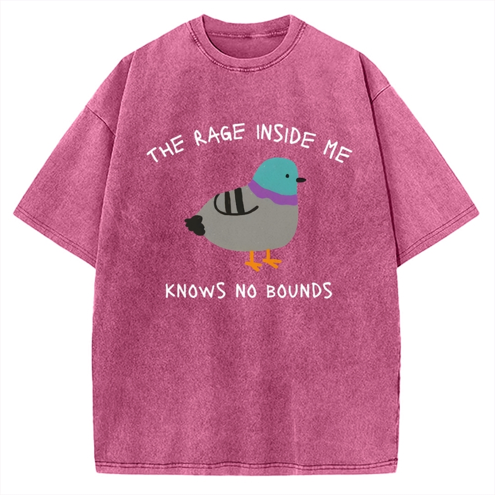 The Rage Inside Me cursed Vintage Washed T-shirt