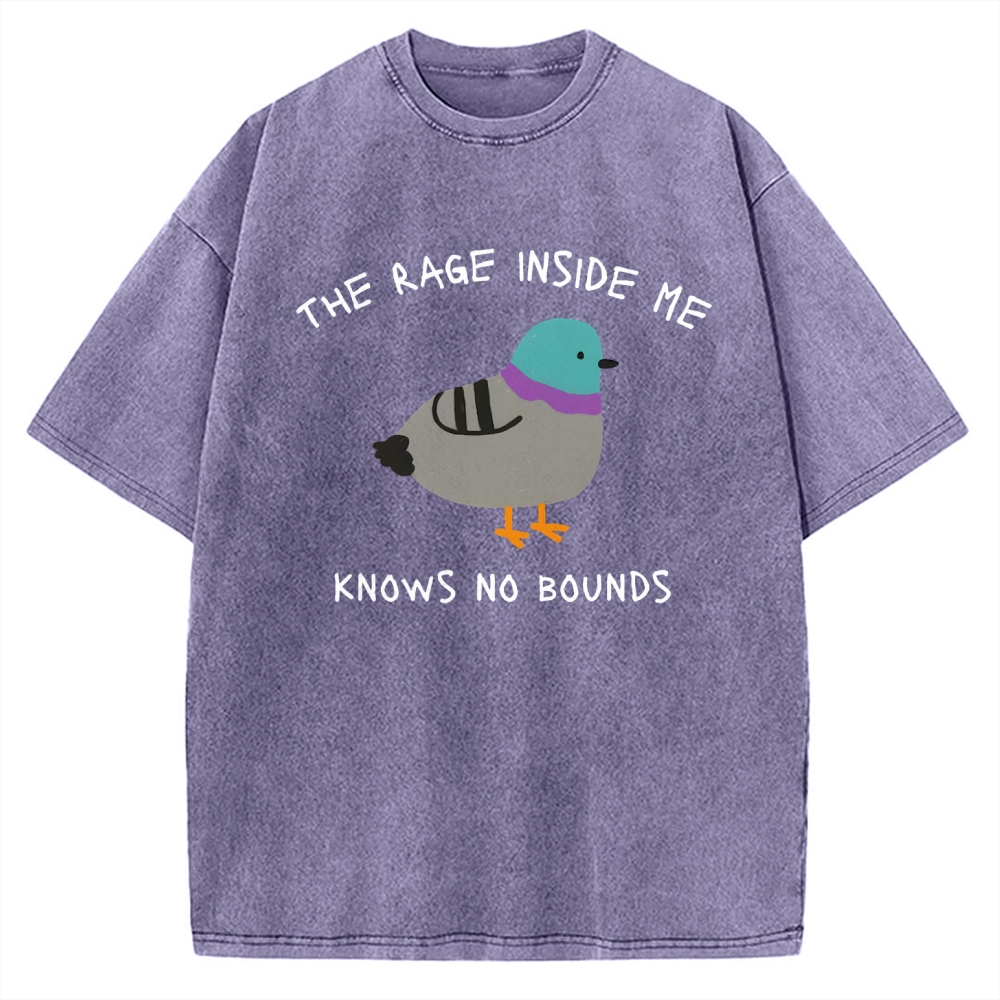 The Rage Inside Me cursed Vintage Washed T-shirt