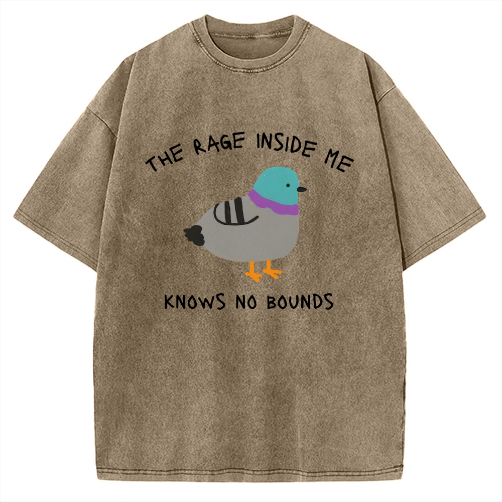 The Rage Inside Me cursed Vintage Washed T-shirt