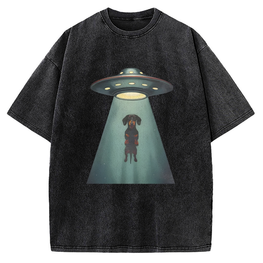 Dachshund UFO Vintage Washed T-shirt