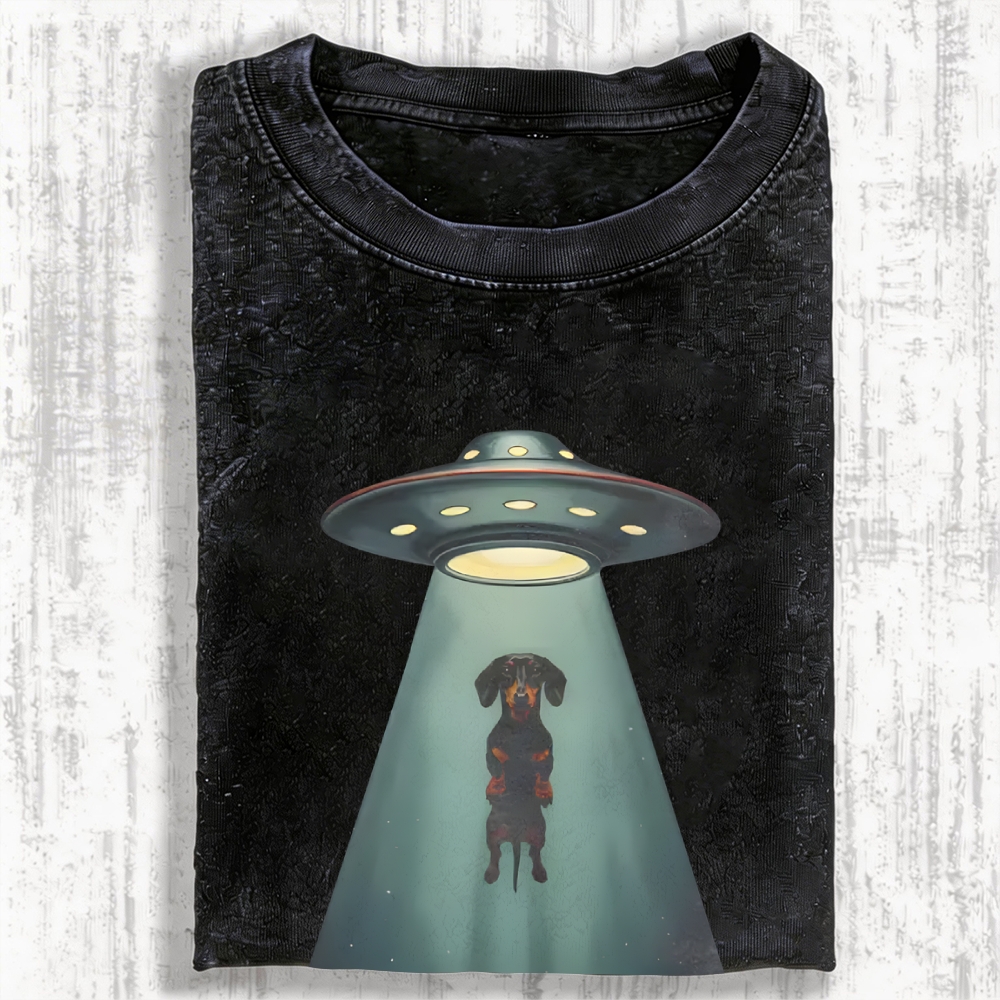 Dachshund UFO Vintage Washed T-shirt