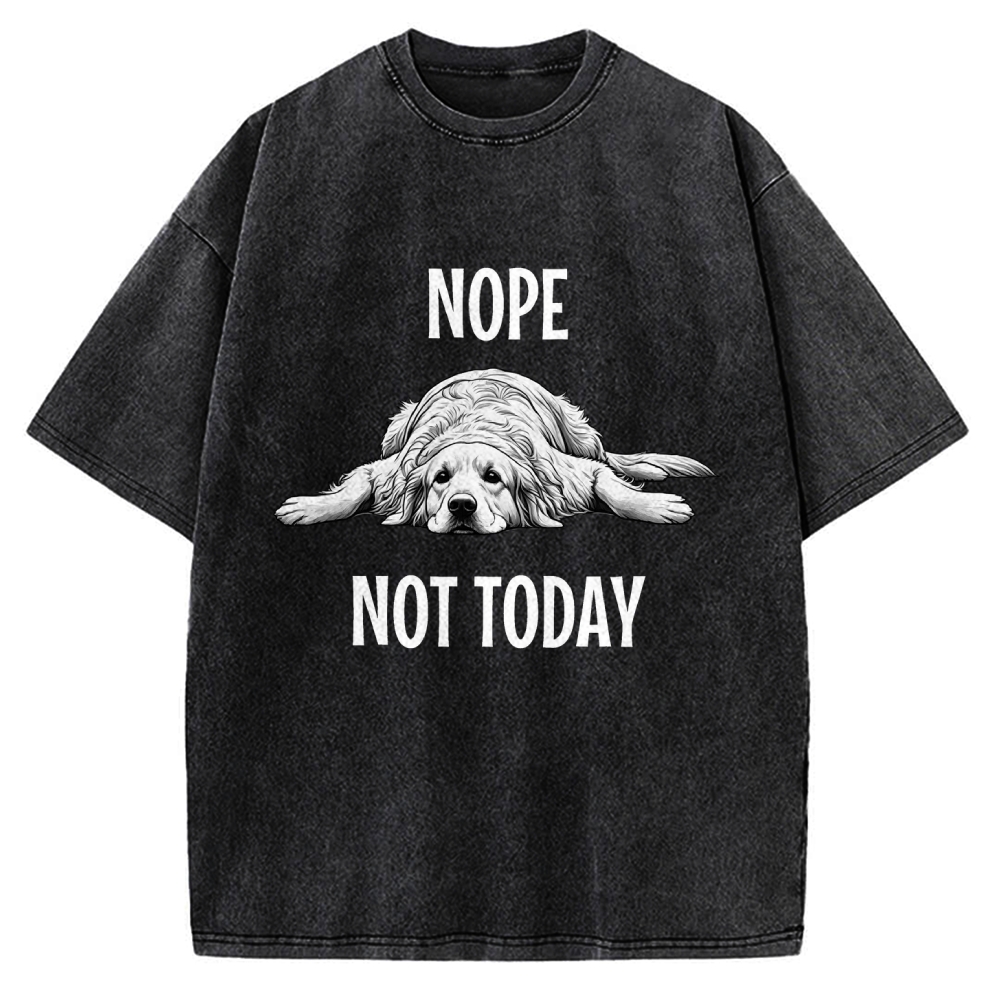 Nope Not Today Dog Vintage Washed T-shirt