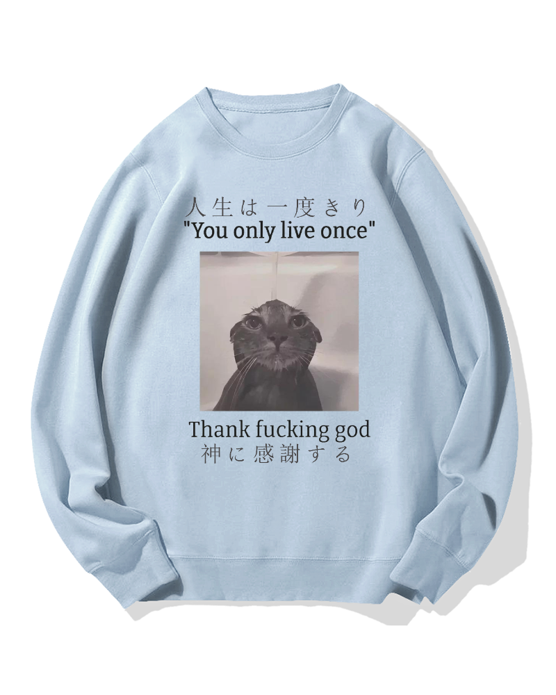 Funny Meme Cat Cotton Sweatshirt