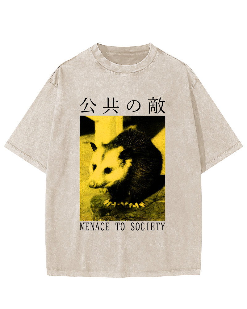 The Opossum in Public Areas Vintage Distressed T-shirt-Zazasy