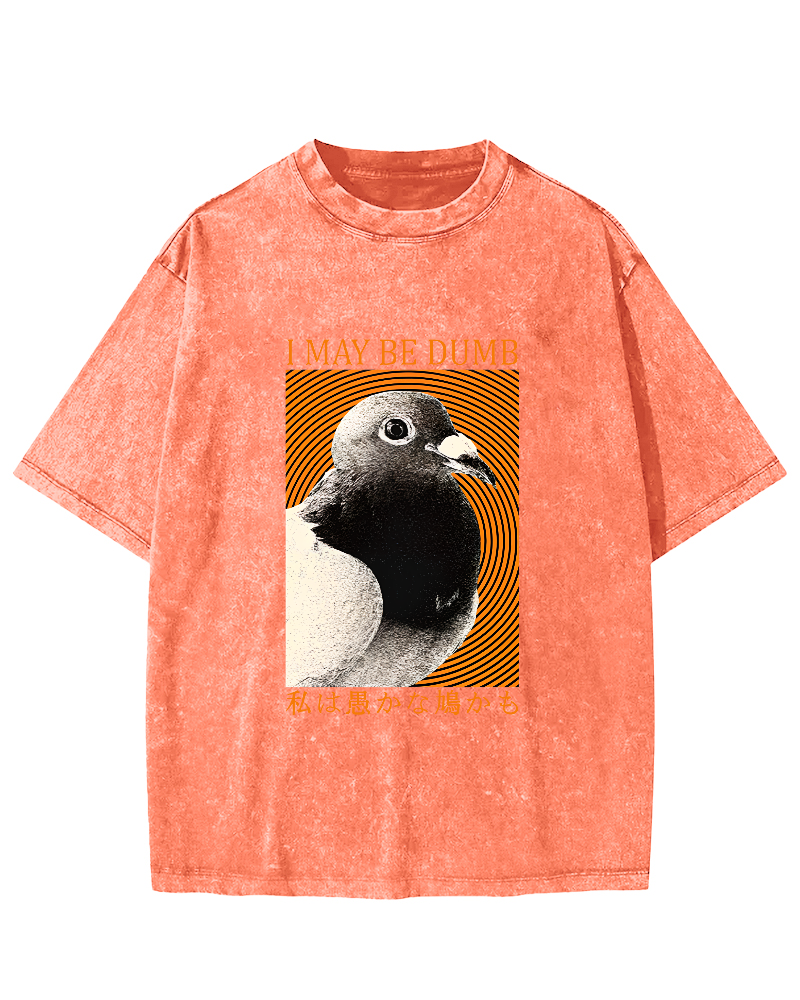 I May Be Dumb Pigeon Washed T-Shirt-Zazasy