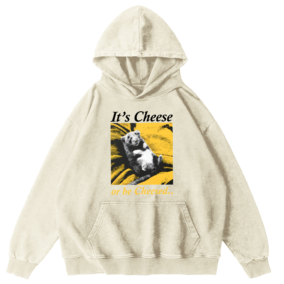 The Sleeping Little Bear Vintage Distressed Hoodie-Zazasy