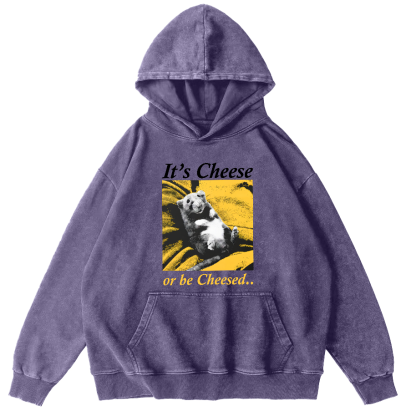 The Sleeping Little Bear Vintage Distressed Hoodie-Zazasy