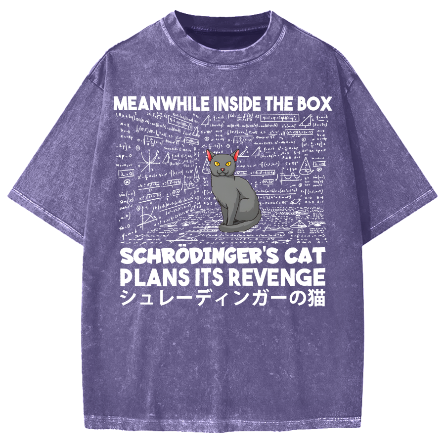 Schrödinger's Cat Escape Plan Japanese Style Funny Vintage Washed T-shirt