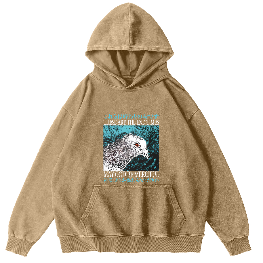 Retro Pigeon Vintage Distressed Hoodie-Zazasy