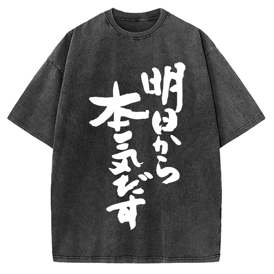 I'll get serious from tomorrow Japanese Vintage Washed T-shirt