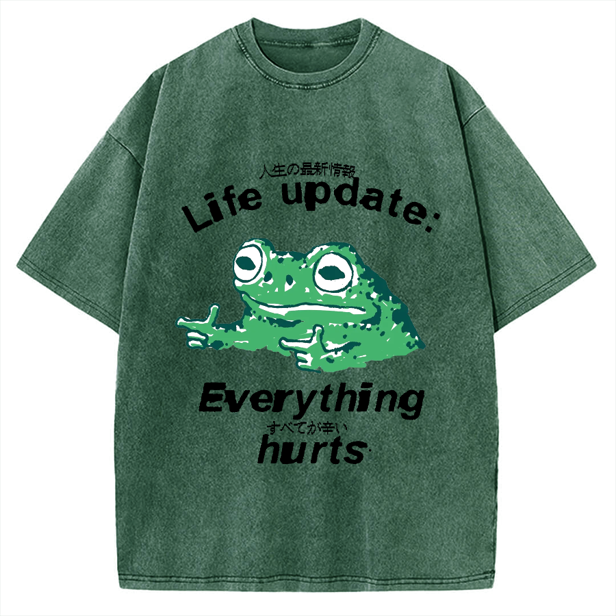 Life Update Harts Frog Vintage Washed T-shirt