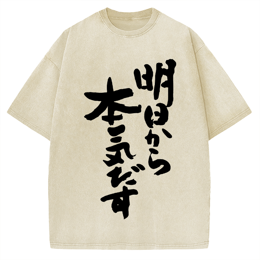 I'll get serious from tomorrow Japanese Vintage Washed T-shirt