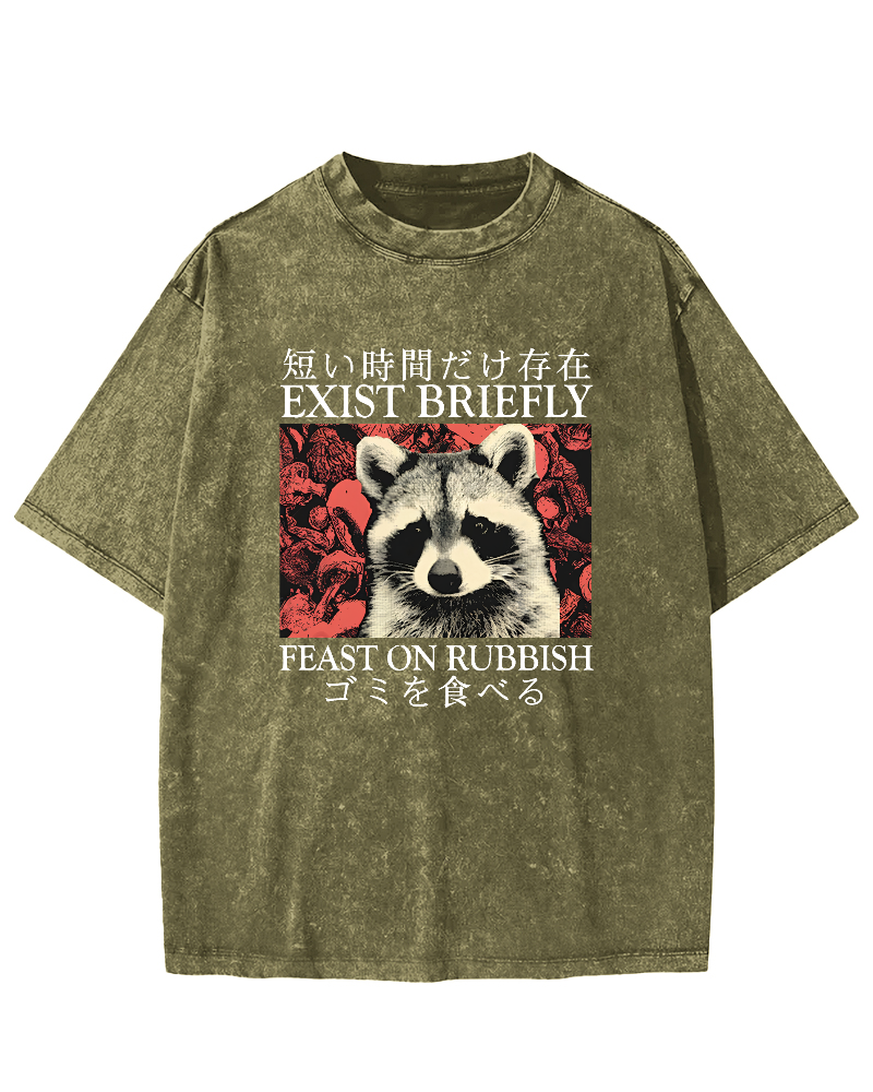 Cute Raccoon Japanese Text Vintage Distressed T-shirt-Zazasy