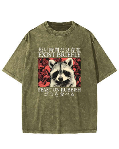 Cute Raccoon Japanese Text Vintage Distressed T-shirt-Zazasy