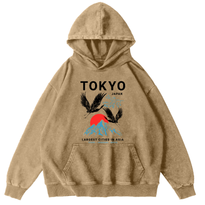 Tokyo Flying Crane Vintage Distressed Hoodie-Zazasy