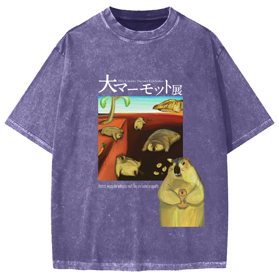 Great Marmot Exhibition Vintage Washed T-shirt