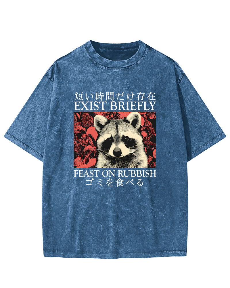 Cute Raccoon Japanese Text Vintage Distressed T-shirt-Zazasy