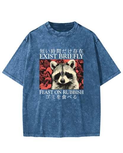 Cute Raccoon Japanese Text Vintage Distressed T-shirt-Zazasy