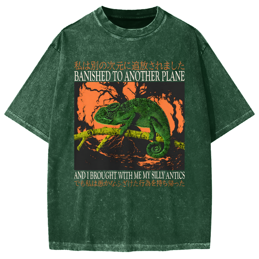 Banished to another plane and I brought with me my silly antics Vintage Washed T-shirt