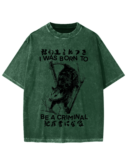 I Was Born To Be A Criminal Vintage Washed T-shirt