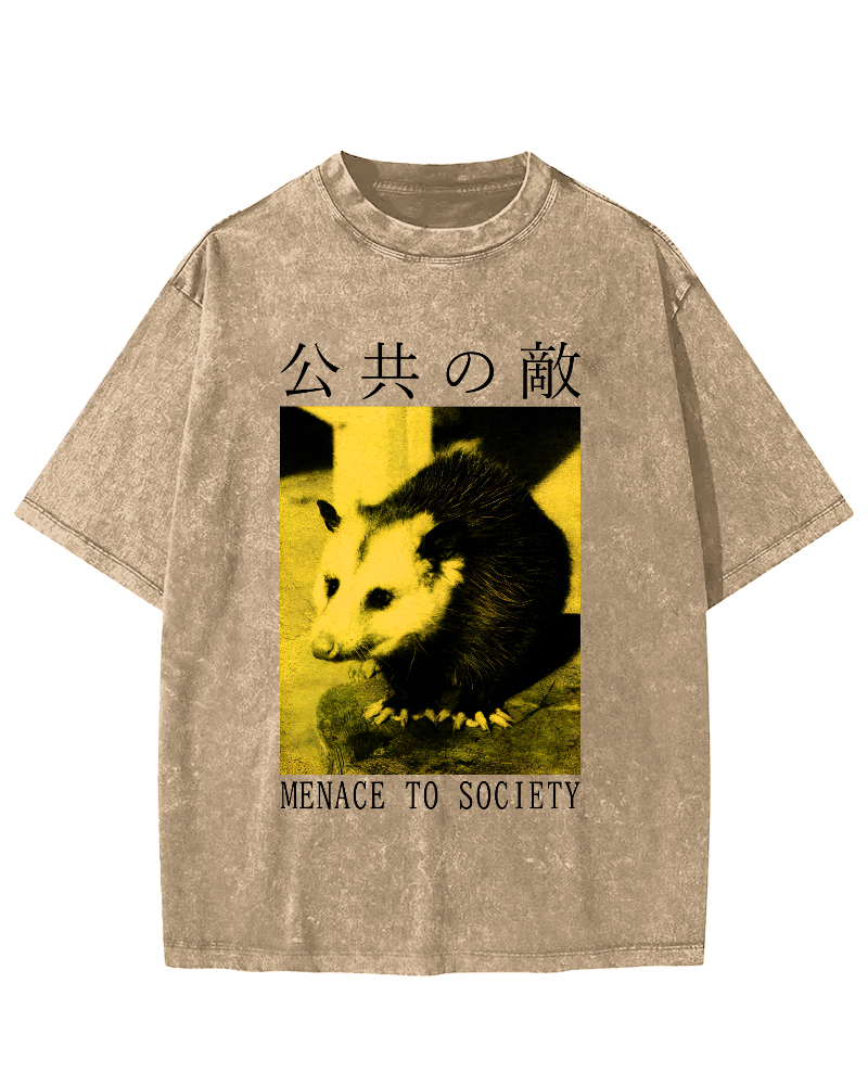 The Opossum in Public Areas Vintage Distressed T-shirt-Zazasy