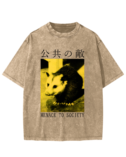 The Opossum in Public Areas Vintage Distressed T-shirt-Zazasy