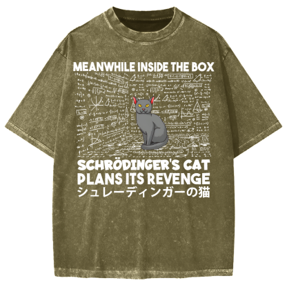 Schrödinger's Cat Escape Plan Japanese Style Funny Vintage Washed T-shirt