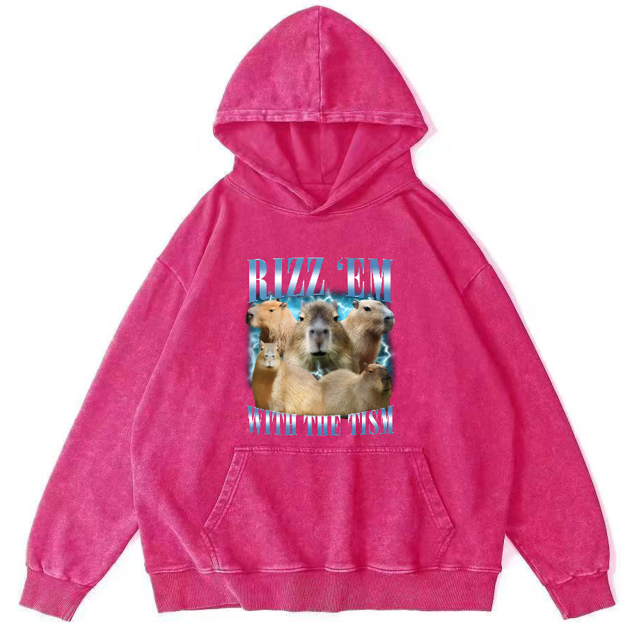 Rizz Em With The Tish Vintage Washed Hoodie-Zazasy