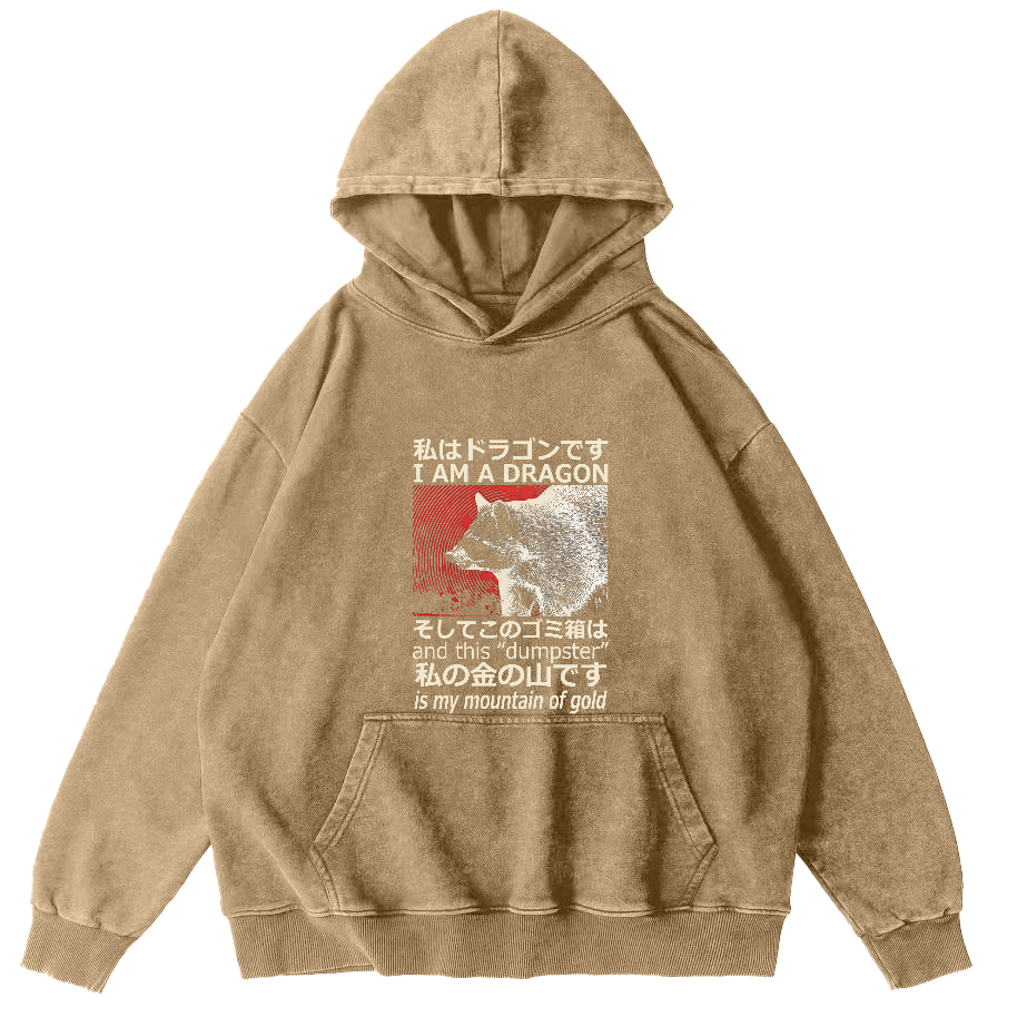 Raccoon Japanese washed hoodie-Zazasy