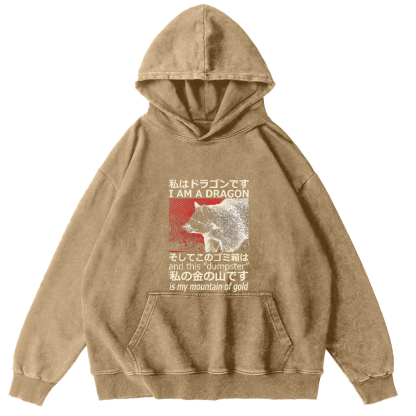 Raccoon Japanese washed hoodie-Zazasy