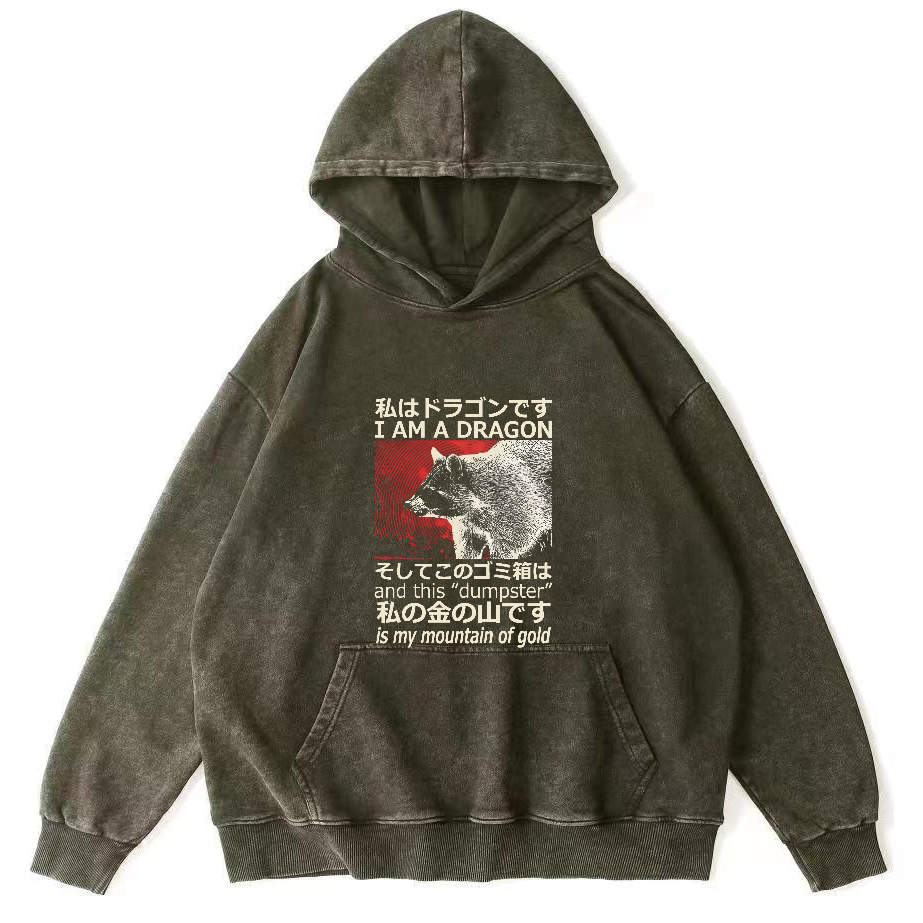 Raccoon Japanese washed hoodie-Zazasy