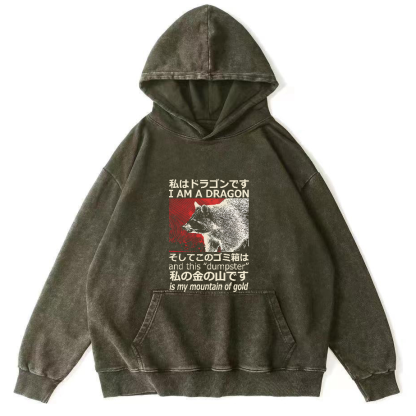 Raccoon Japanese washed hoodie-Zazasy