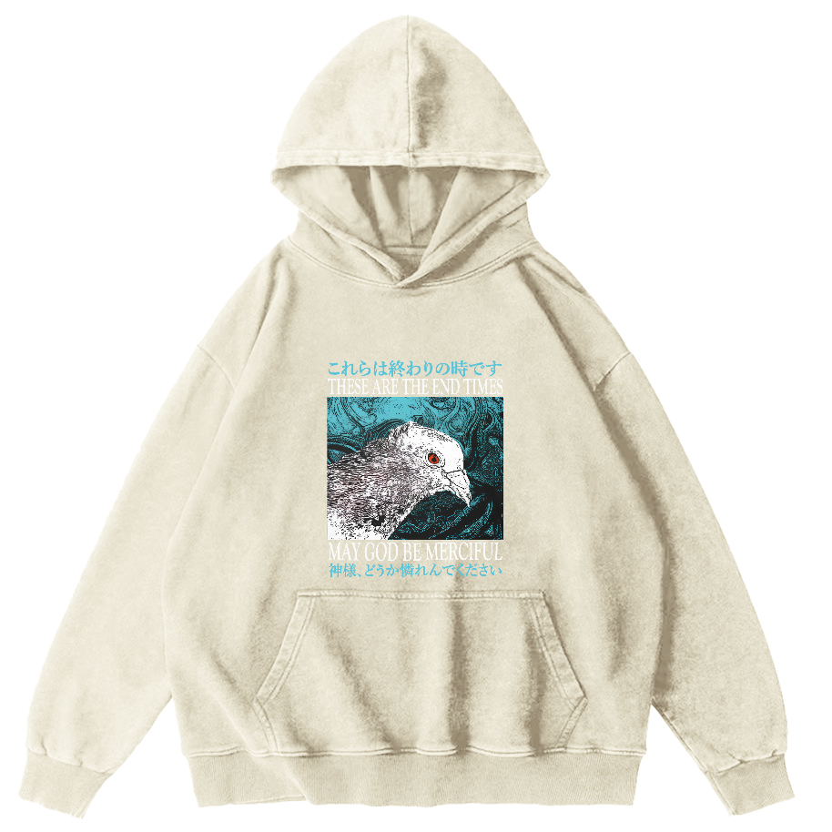 Retro Pigeon Vintage Distressed Hoodie-Zazasy
