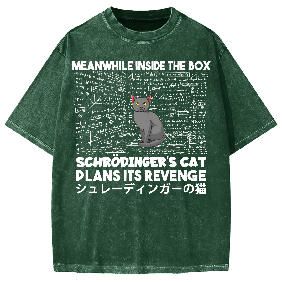 Schrödinger's Cat Escape Plan Japanese Style Funny Vintage Washed T-shirt