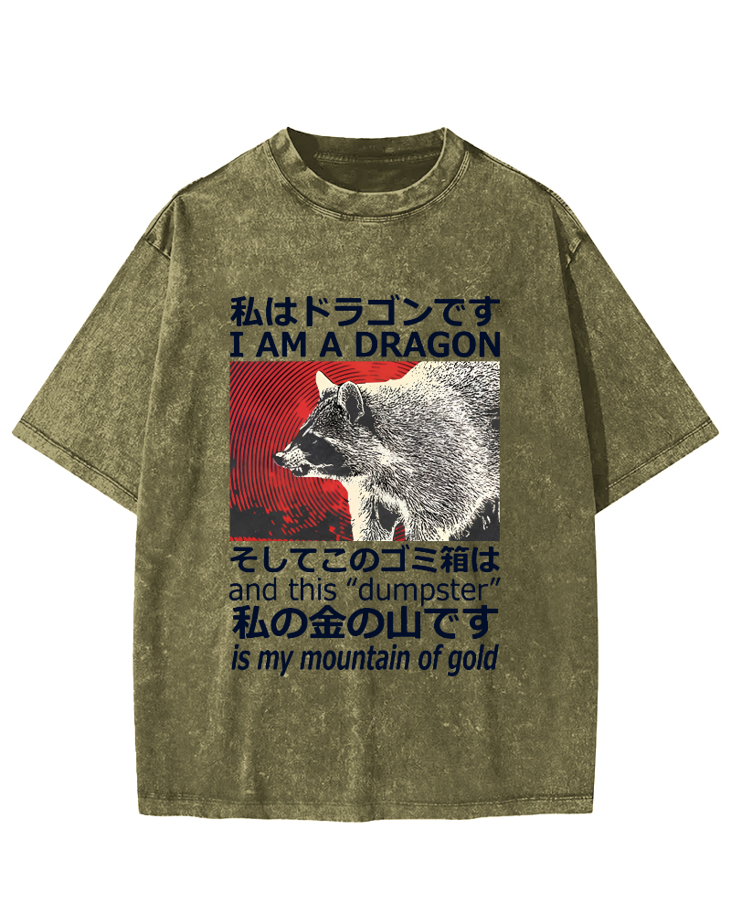 Dragon Raccoon Japanese Vintage Washed T-shirt-Zazasy