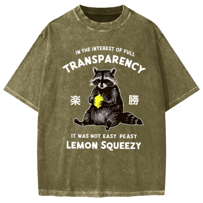 Raccoon Holding A Lemon Vintage Washed T-shirt