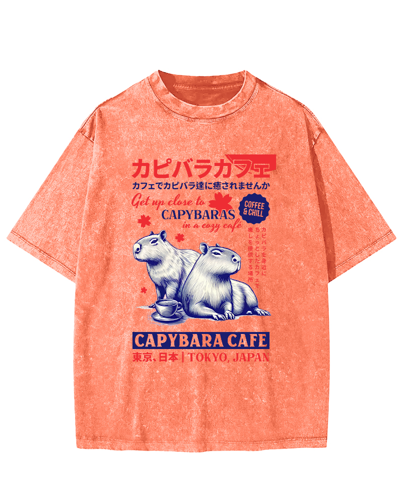 Kyoto Japanese Retro Style Animal Pattern Vintage Washed T-shirt-Zazasy