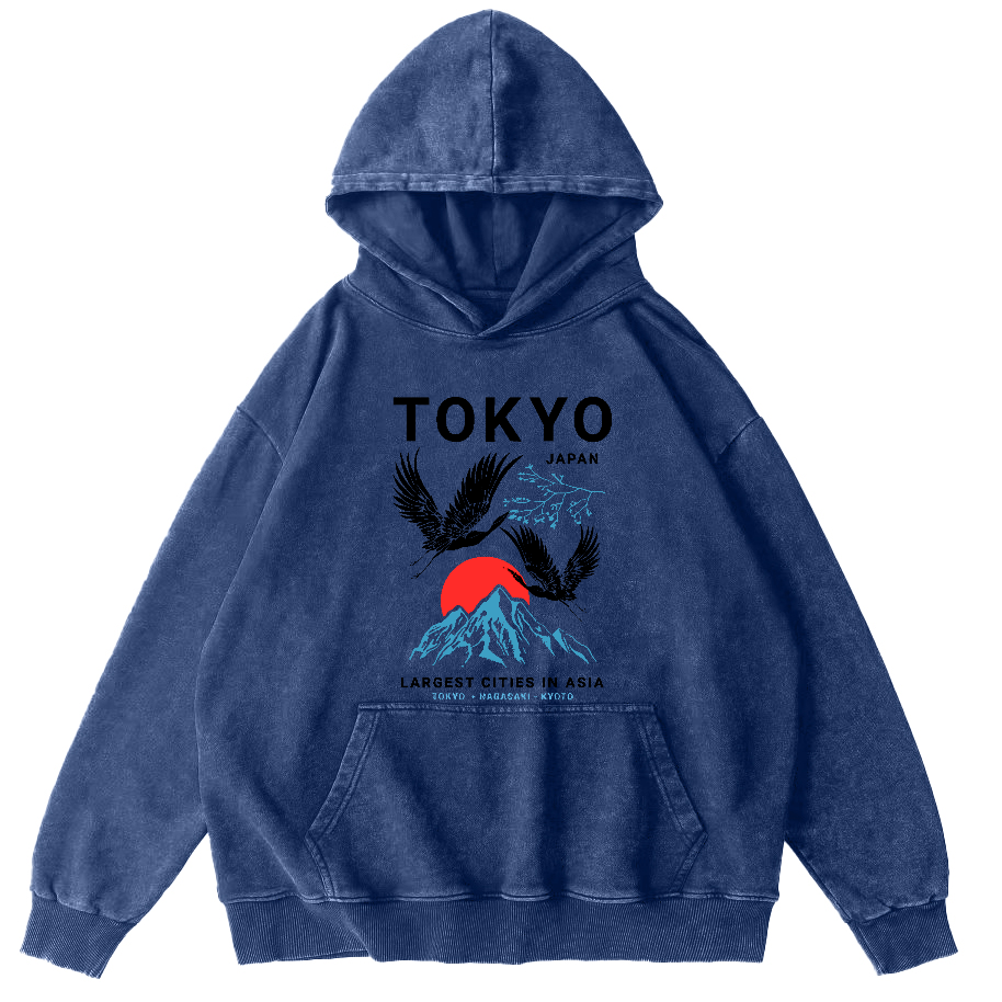 Tokyo Flying Crane Vintage Distressed Hoodie-Zazasy