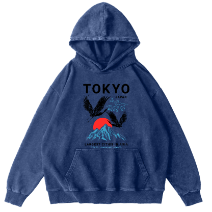 Tokyo Flying Crane Vintage Distressed Hoodie-Zazasy
