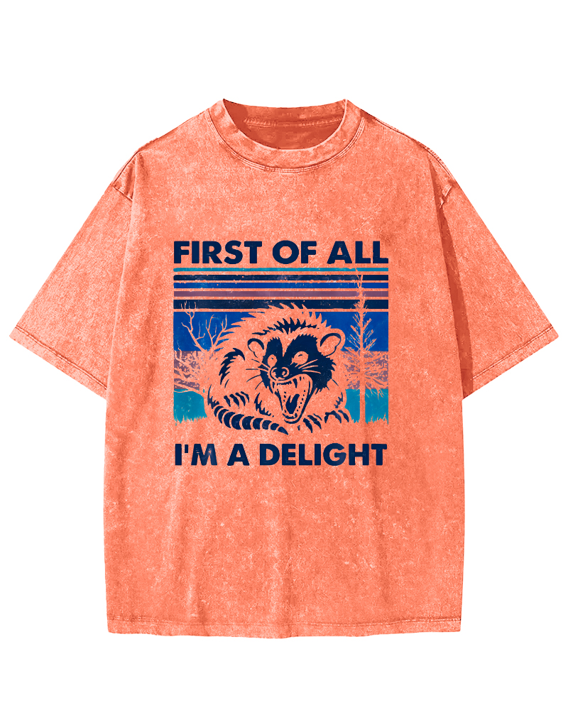 First Of All I'm A Delight Vintage Distressed T-shirt-Zazasy