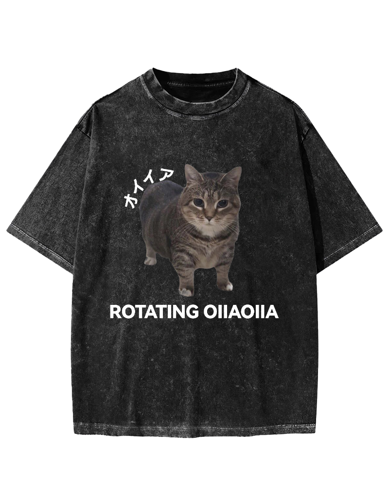 OIIA meme cat Vintage Washed T-shirt