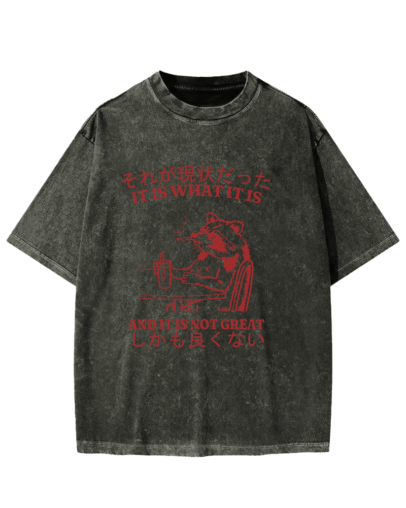 It is what it is,and it is not great Vintage Washed T-shirt