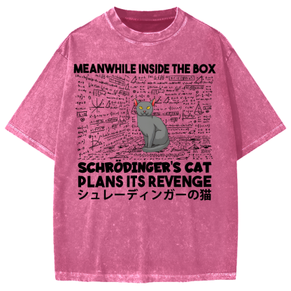 Schrödinger's Cat Escape Plan Japanese Style Funny Vintage Washed T-shirt