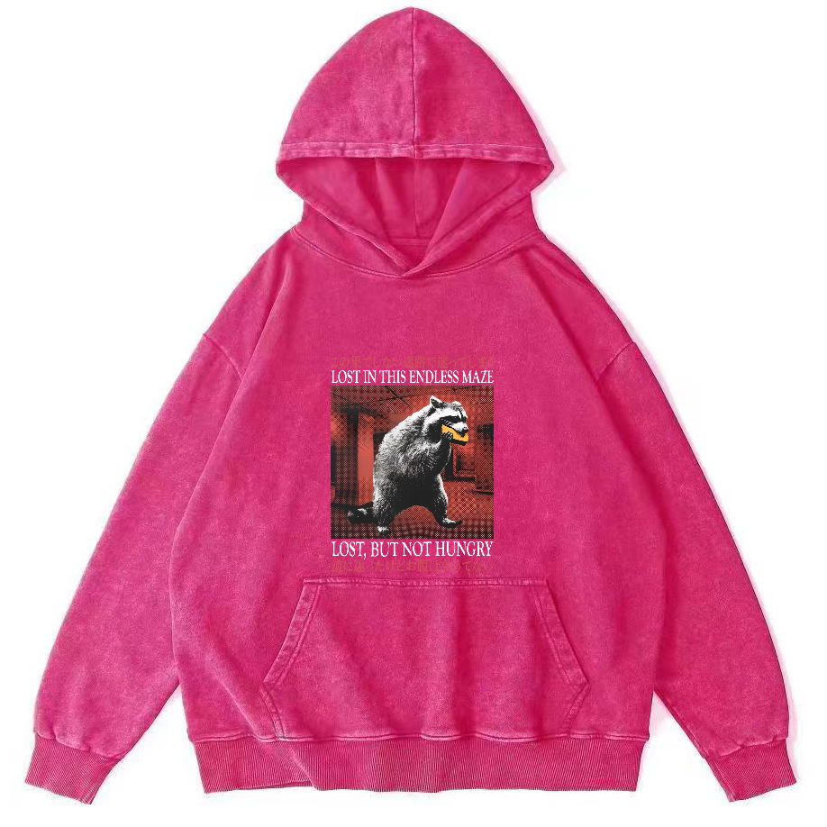 Cute Raccoon Pattern Japanese Style Vintage Distressed Hoodie-Zazasy