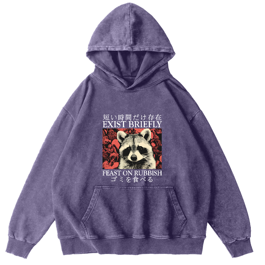 Retro Raccoon Pattern Japanese Style Vintage Distressed Hoodie-Zazasy