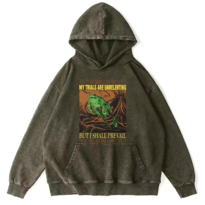 Jumping Frog Vintage Distressed Hoodie-Zazasy