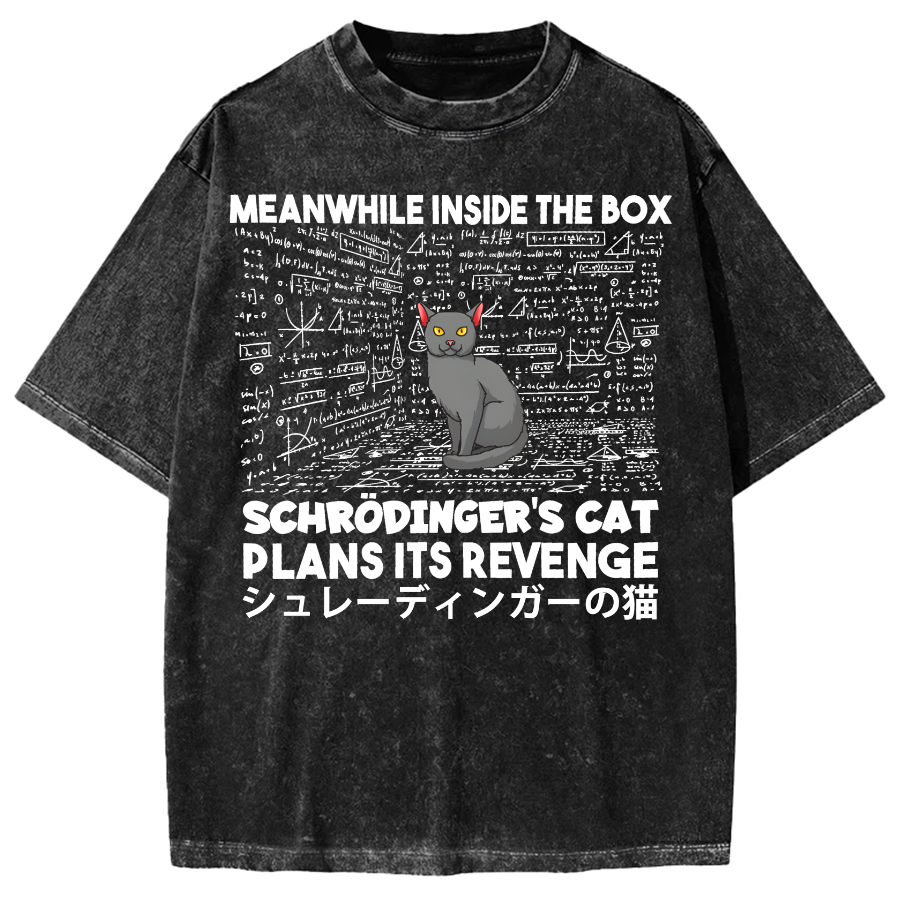 Schrödinger's Cat Escape Plan Japanese Style Funny Vintage Washed T-shirt
