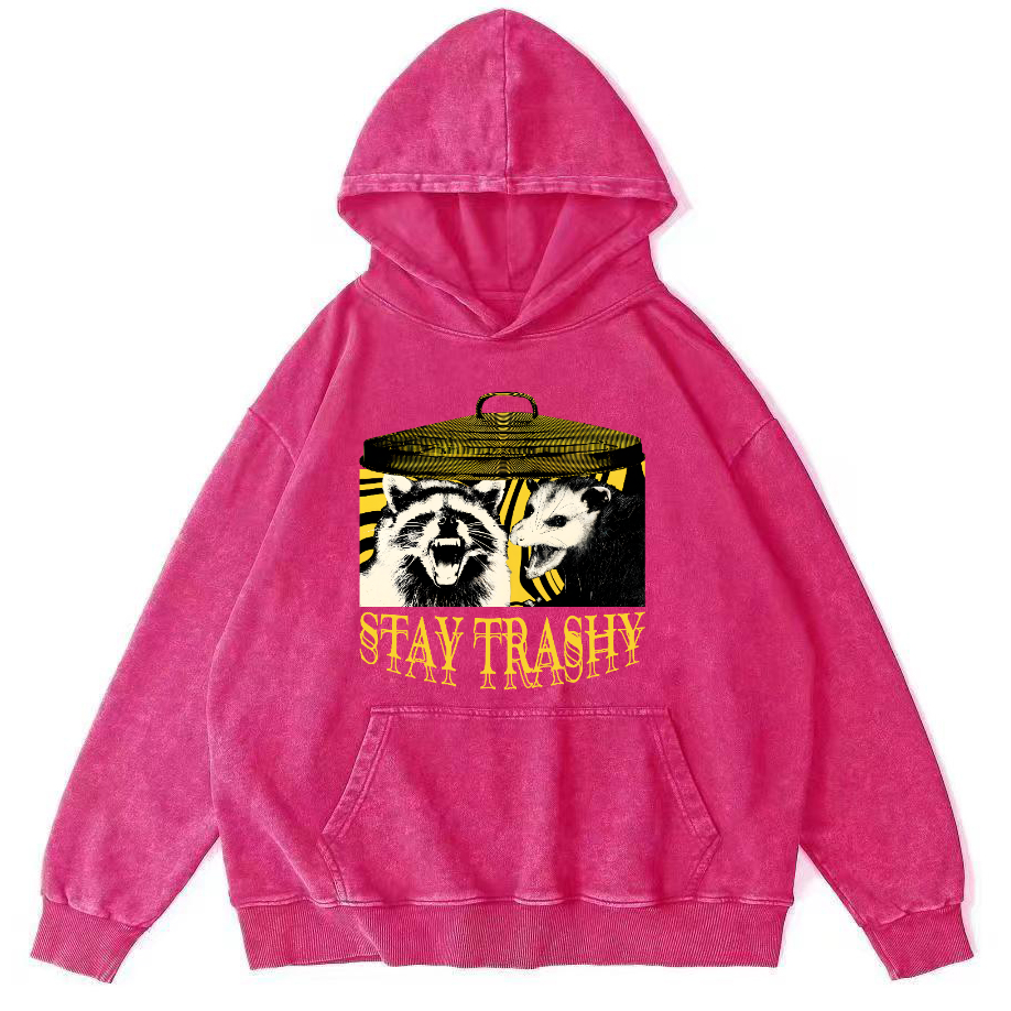 Raccoons and Mice Vintage Distressed Hoodie-Zazasy