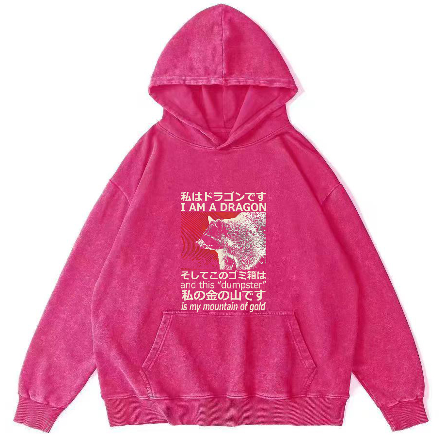 Raccoon Japanese washed hoodie-Zazasy